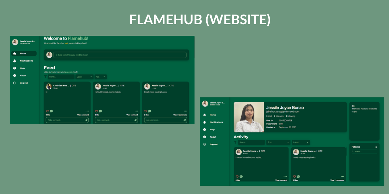 Flamehub Website